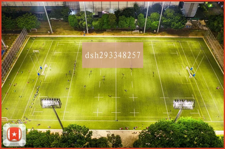 dsh293348257