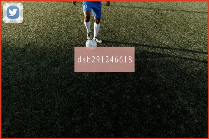 dsh291246618