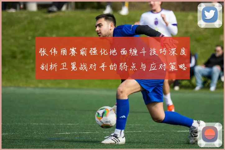 张伟丽赛前强化地面缠斗技巧深度剖析卫冕战对手的弱点与应对策略
